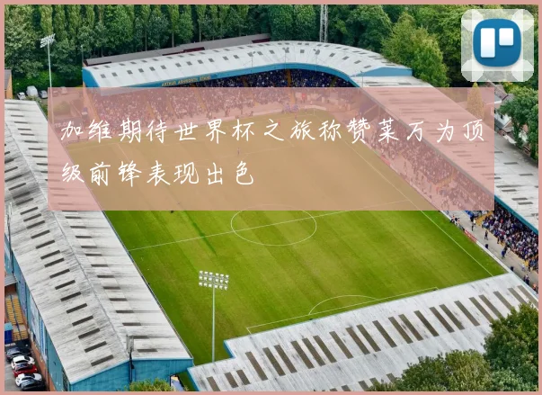 加维期待世界杯之旅称赞莱万为顶级前锋表现出色