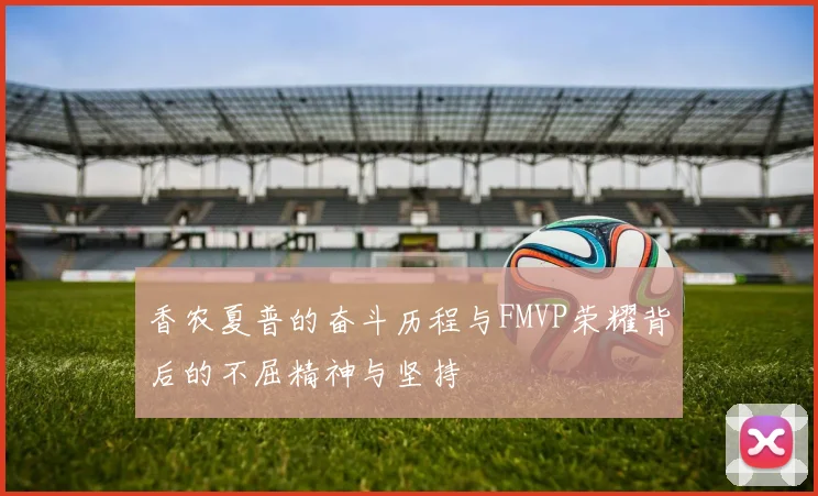 香农夏普的奋斗历程与FMVP荣耀背后的不屈精神与坚持